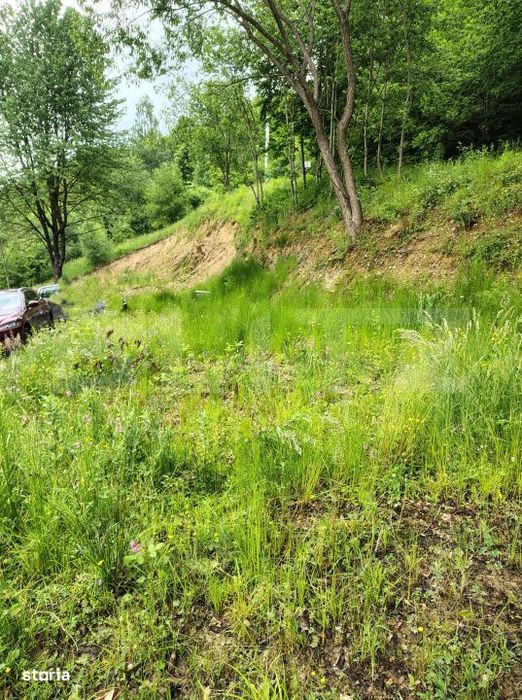 Teren zona de munte 1800 mp, cu apa de izvor, la Somesu Rece