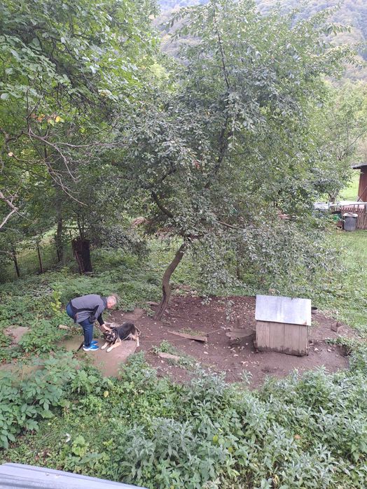 Casa si teren de vanzare