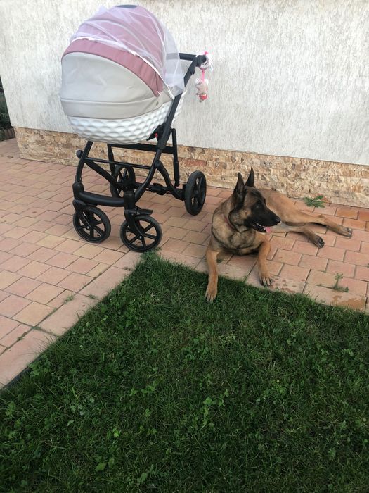 Carucior 3 în 1 Maggio Caramelo