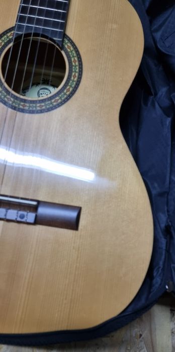 Chitara Reghin Student N