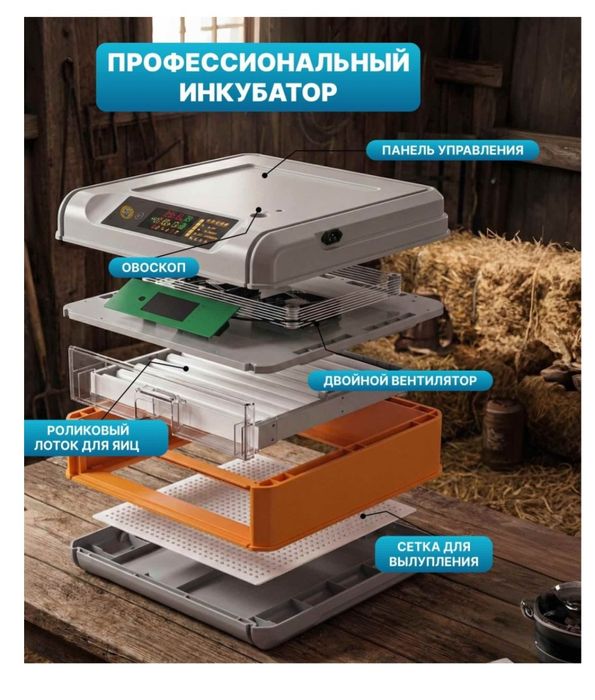 Инкубатор  автоматизированное устройство для инкубации яиц различных