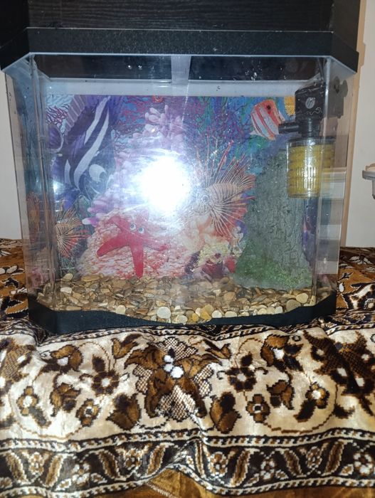 Аквариум в хорошем состоянии