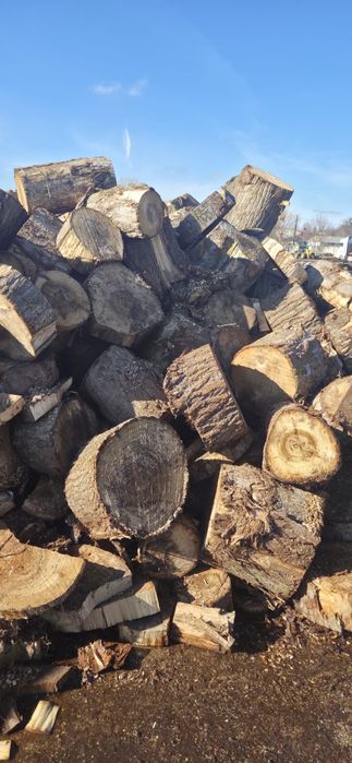Lemne de foc PLOP 250 lei/metru ster