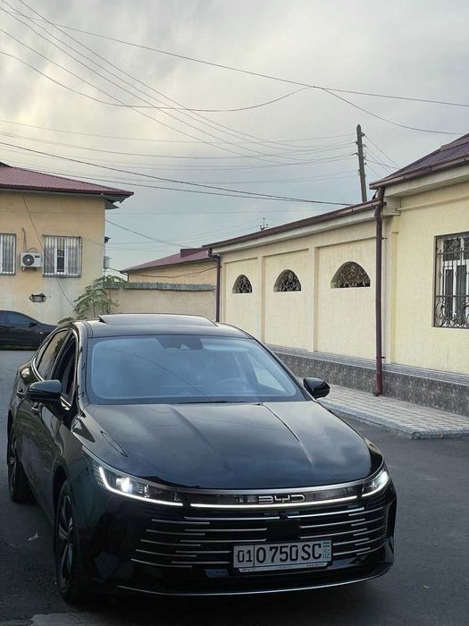 BYD chazor champion flagship