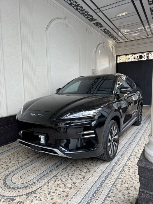 Byd chempion xonor
