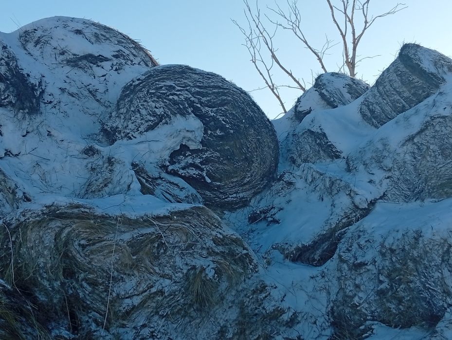 Продам сена хороший.