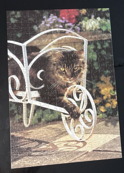 Пъзел “Котка в градина”