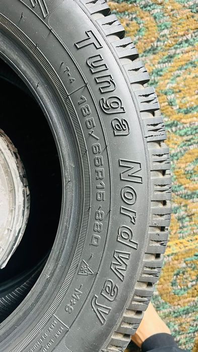 Балон зимний . Шиповный