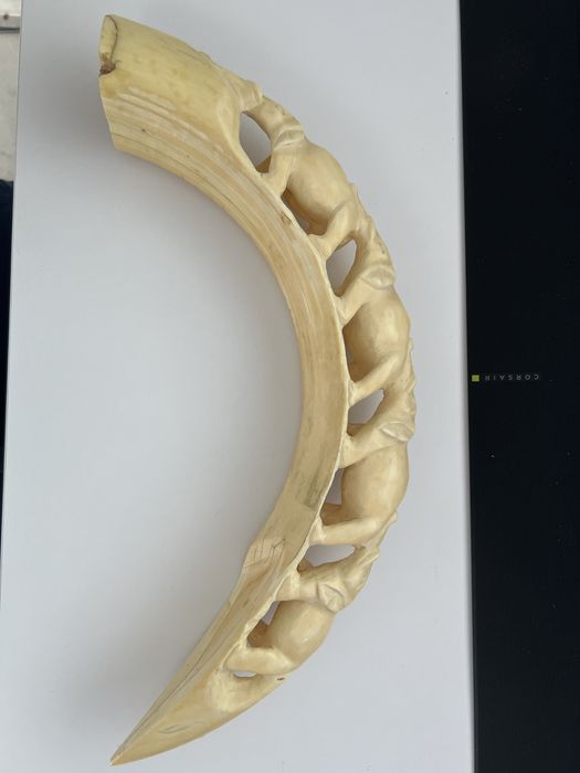 Colt de elefant scluptat