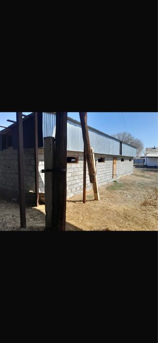 Продам откормочную базу