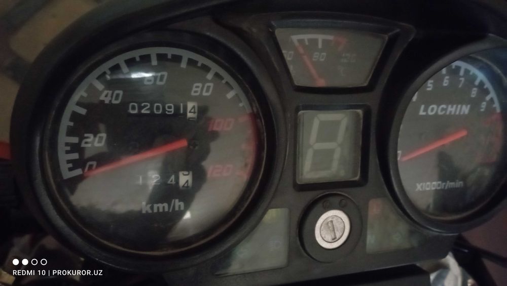 Продам муравей lochin