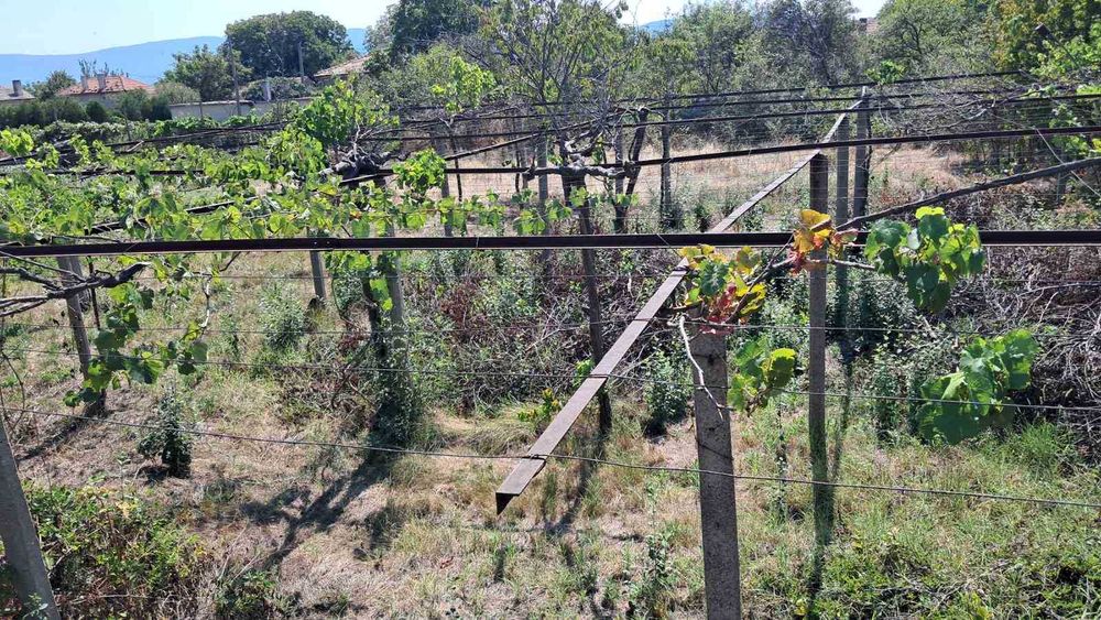 Продава се Парцел в с. Ветрен, Област Стара Загора - 980 кв.м за 14 €/кв.м - Снимка #5