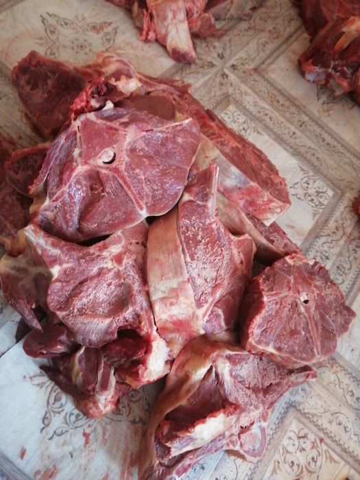 Мясо говядина молодняк