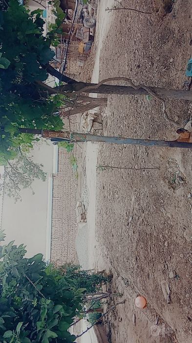 Termez shaxar partizanda 5soʻtix yer sotiladi