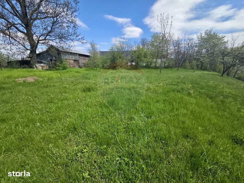 Teren intravilan 4.733 mp - Drajna de Jos, Prahova