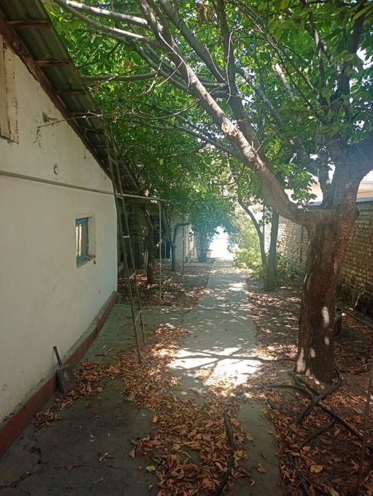 Земля Сельхоз  3 сот ул Университетская в доль дороги Фасад 9м×35м