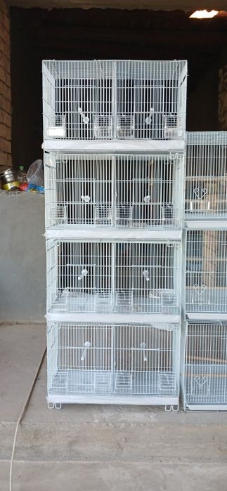 Клетки для разных птиц