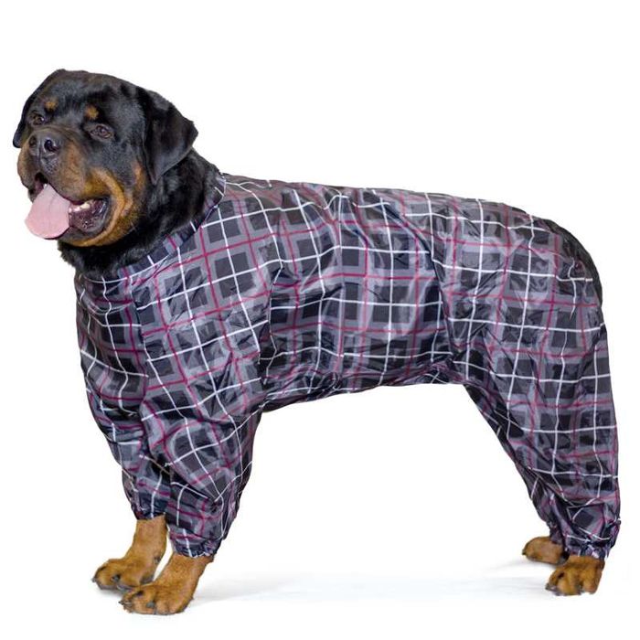 Одежда для собак