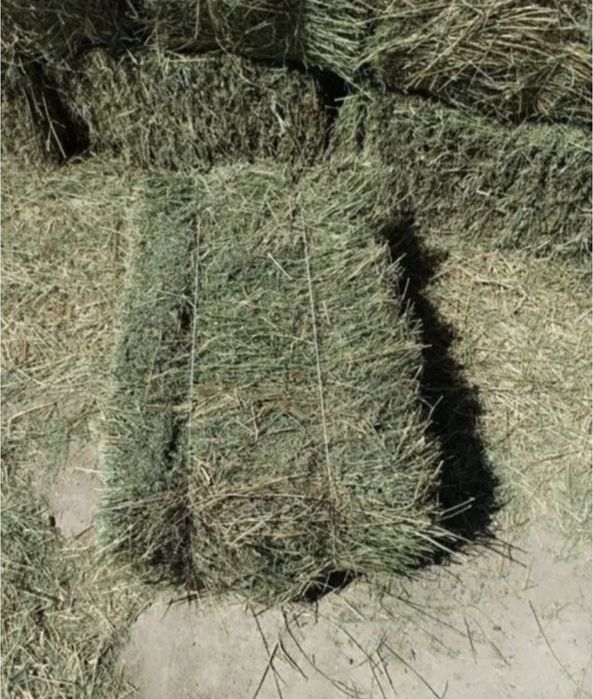 Beda press kimga kerak bo'lsa marhamat