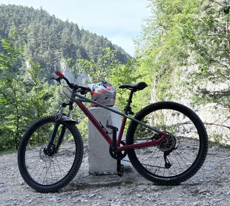 Bicicleta Mondraker Leader 26 pentru copii aluminiu