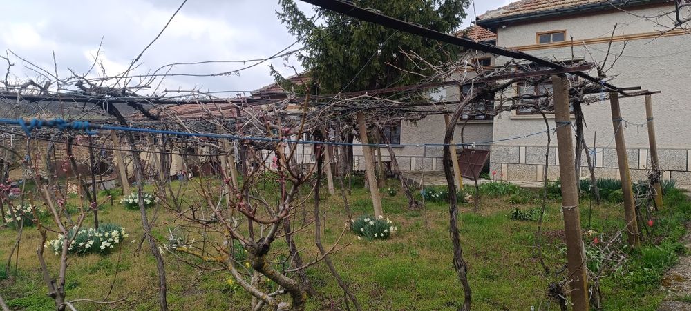 Селски имот къща!