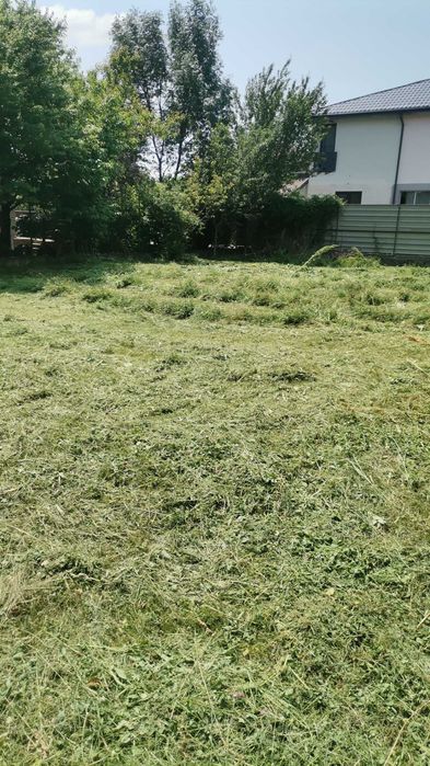 Tundem gazon iarbă buruieni ierbicidăm