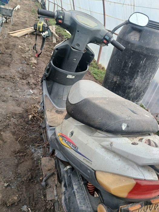 Scuter atins de flacăra de foc