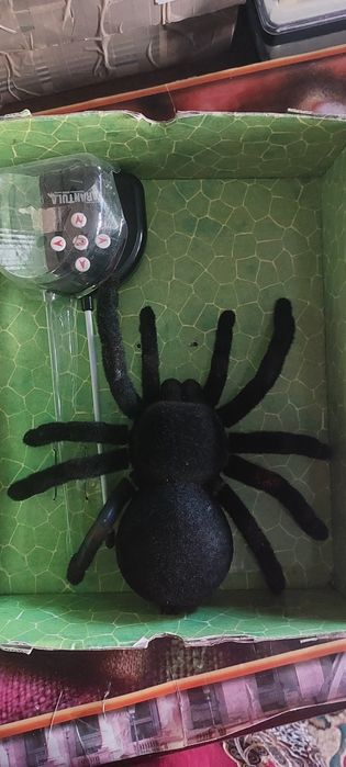 Паук на пульте управления