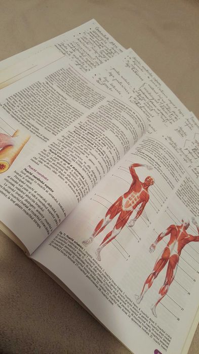 Meditatii Biologie BAC si Admitere la medicina