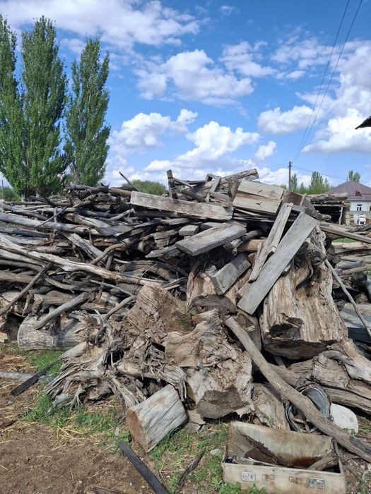 Отын ағаш бар сатылады