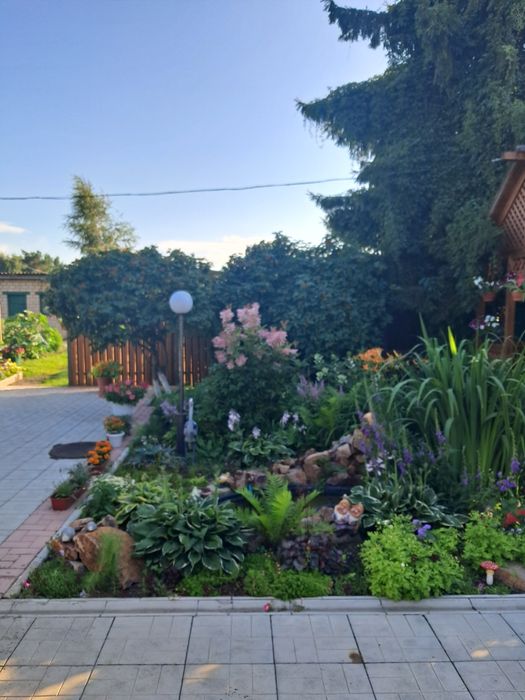 Продам дом в Бишкуле