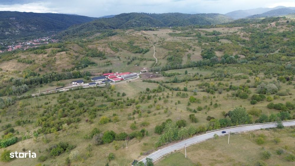 Teren 8.043 mp la DN73C Berevoesti – 3€/mp! Oportunitate rara