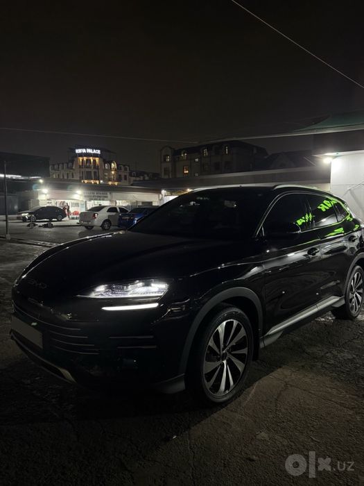Byd champion Dm-i 2024