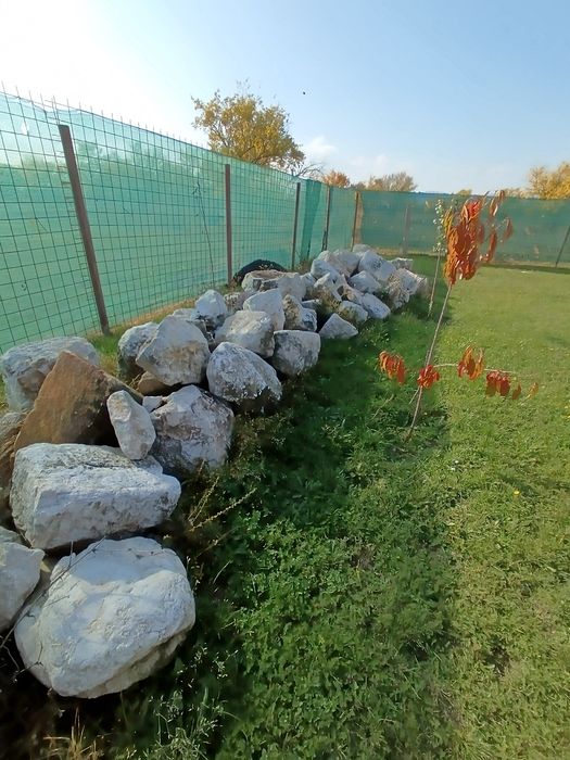 Piatra ornamentala grădină