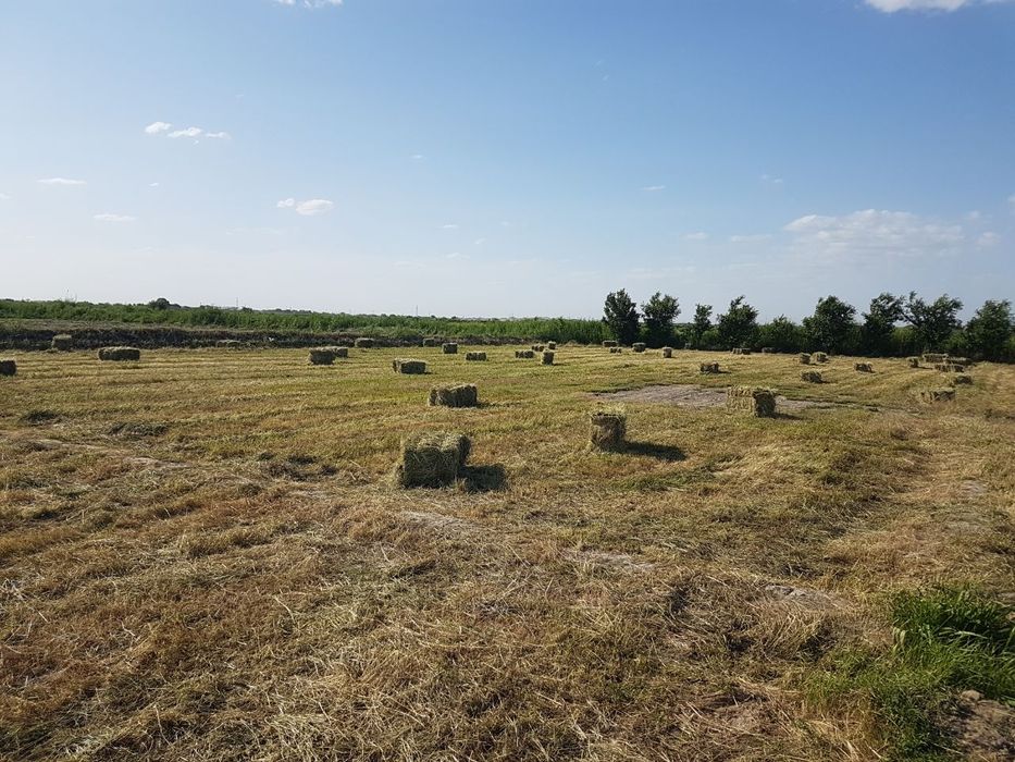 Beda pressure sotiladi. Yomg'ir tegmagan. 250 dona