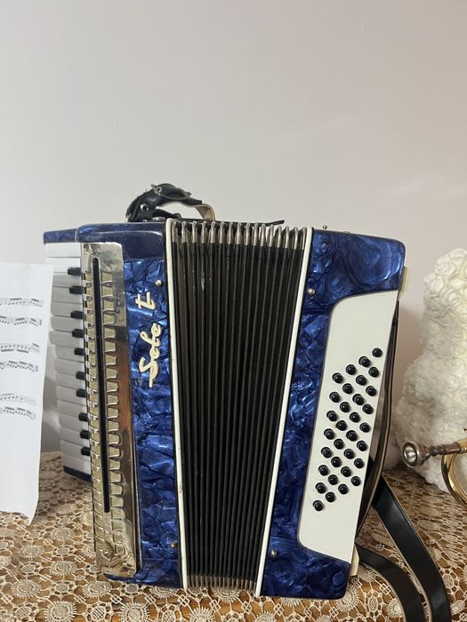 Vand acordeon timis