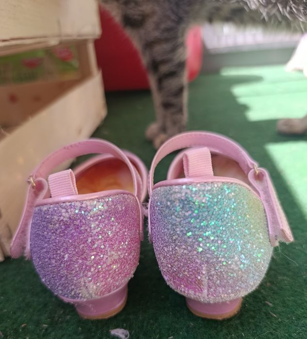 Pantofi cu prințese și sclipici