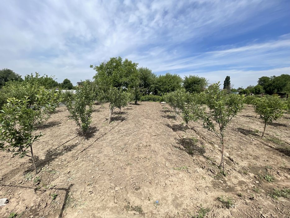 Продам Дом в Тургене