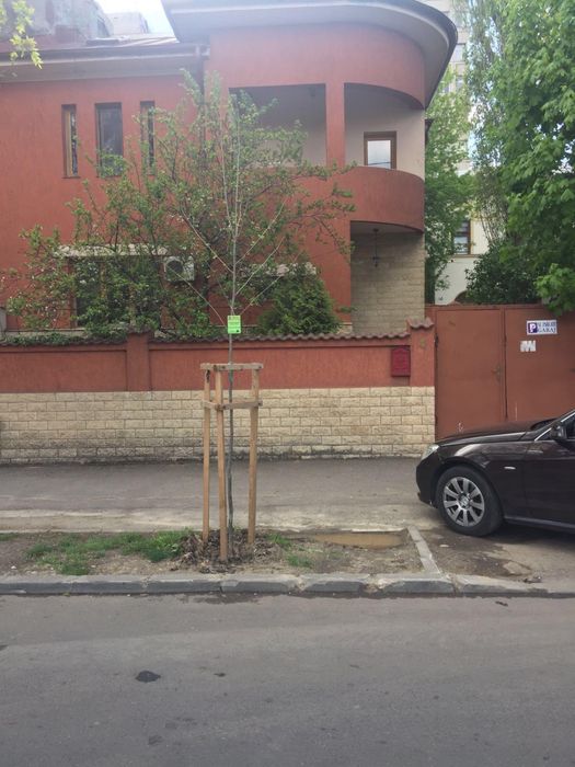 Vila/Casa in Cotroceni