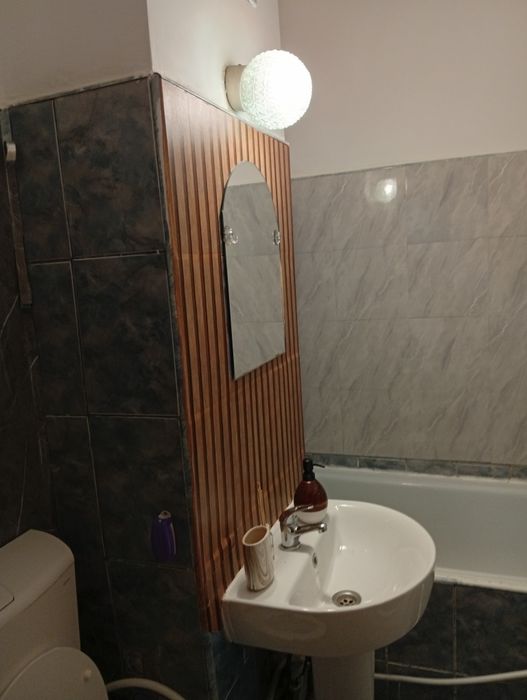 Închiriere apartament cu o cameră ,podul ros