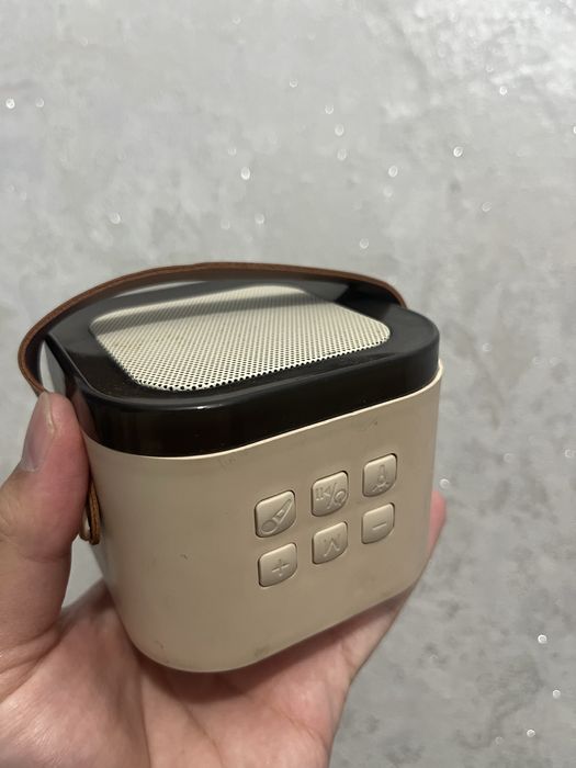 Портативная Bluetooth колонка