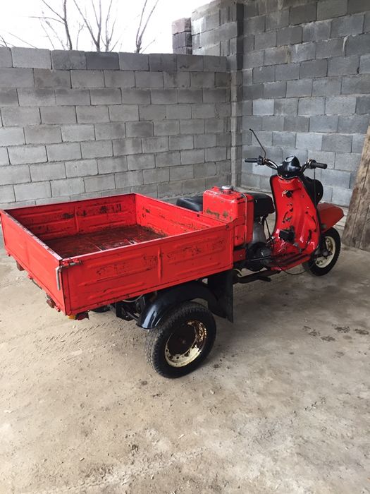 Продам муравья