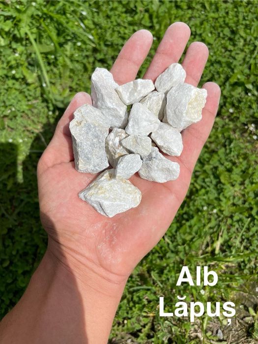 Piatră Decorativă Thasos si Multe Alte Modele