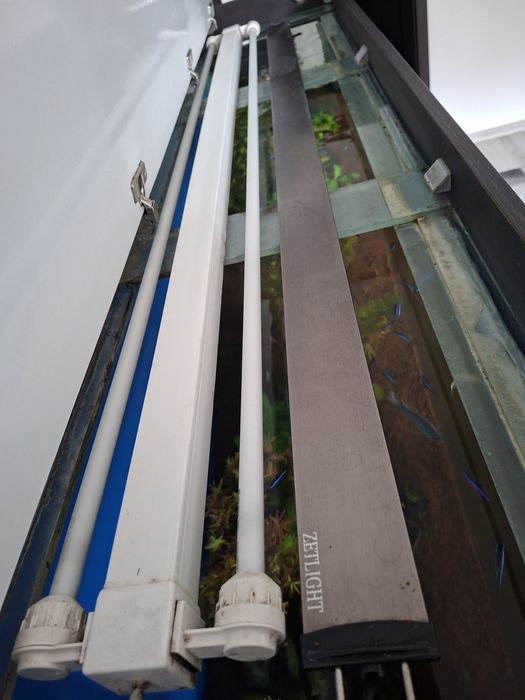 Аквариум.Напълно обурудван .