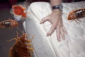 20% Скидка Дезенфекция дизенфекция дезинфекция дизинфекцияdizinfeksiya