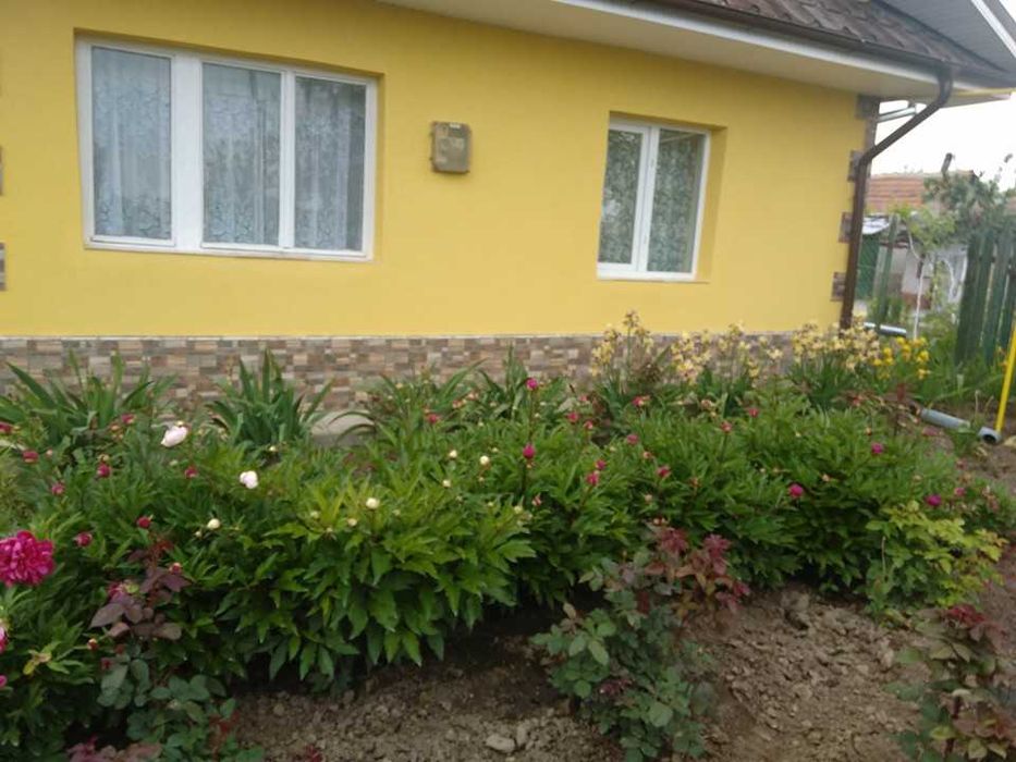 Casa de vanzare, fara  schimb!