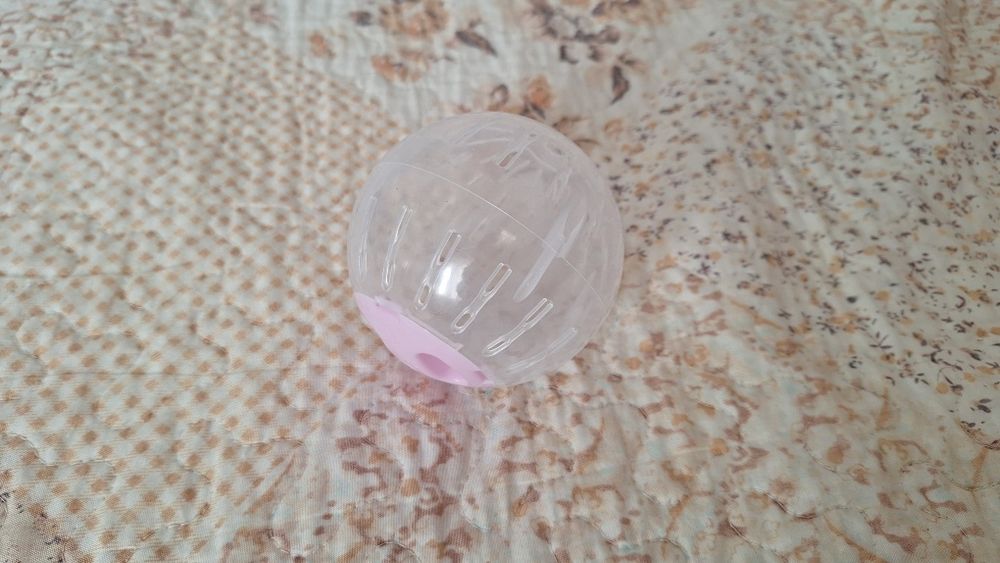 Accesorii hamsteri