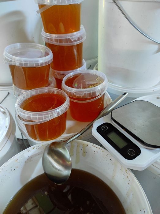 Продам мёд со своей пасики, натуральный