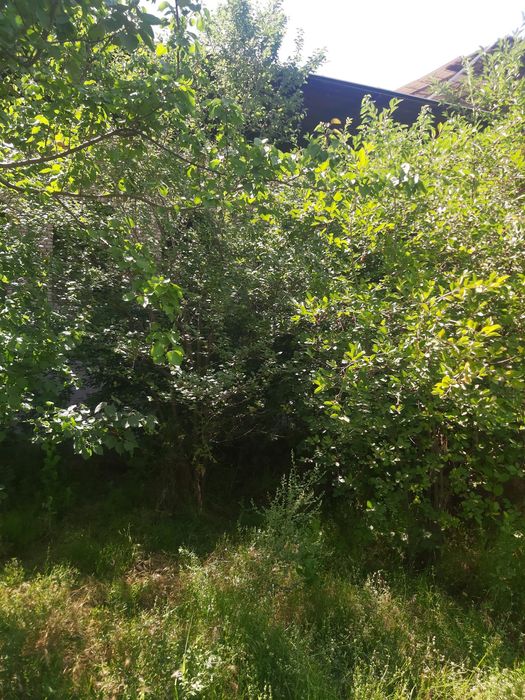 Назарбек марказида уй сотилади