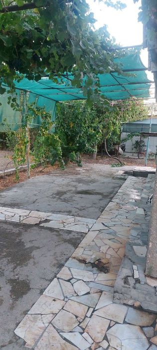 Дала ховли арзон нархда сотилади